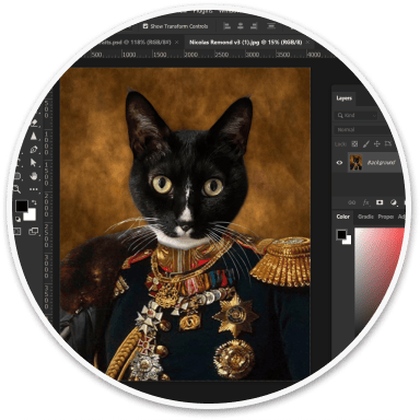 A designer digitally fitting a royal costume to the uploaded pet photo
